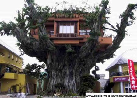 il  y   qlq   1  qui  vous   acheter   de  moi  cette   maison